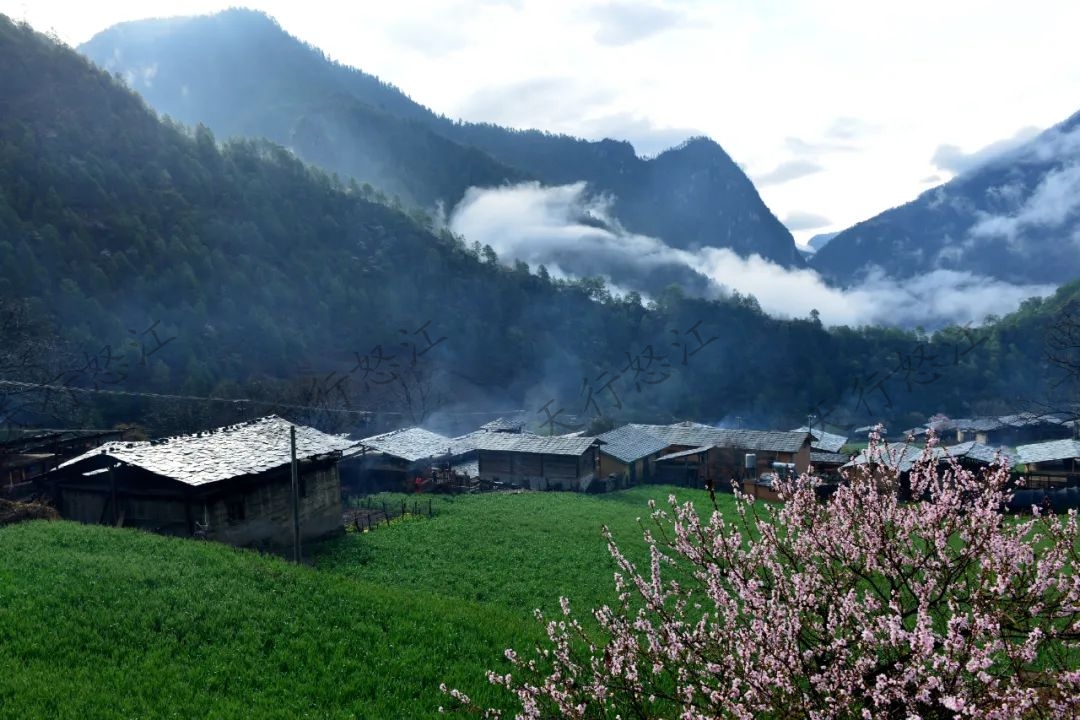 秋那桶村