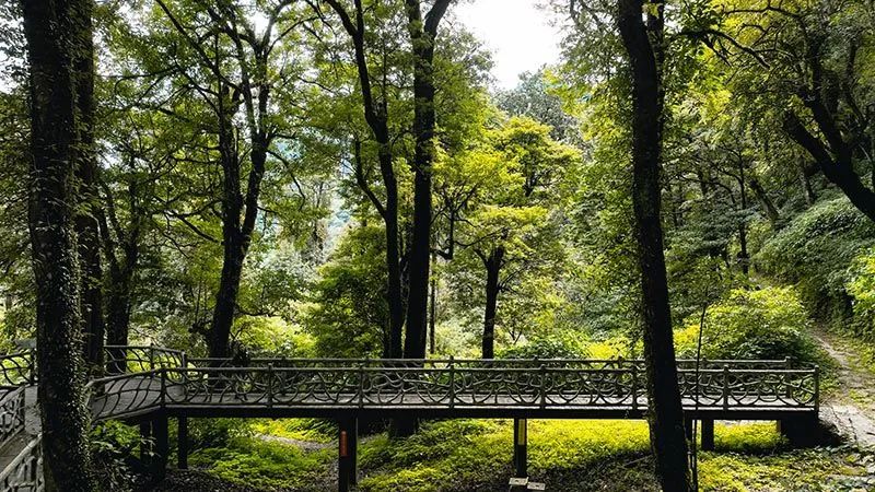 怒江活動策劃：有一種生活叫云南的怒江丨一起去姚家坪，上一堂自然課